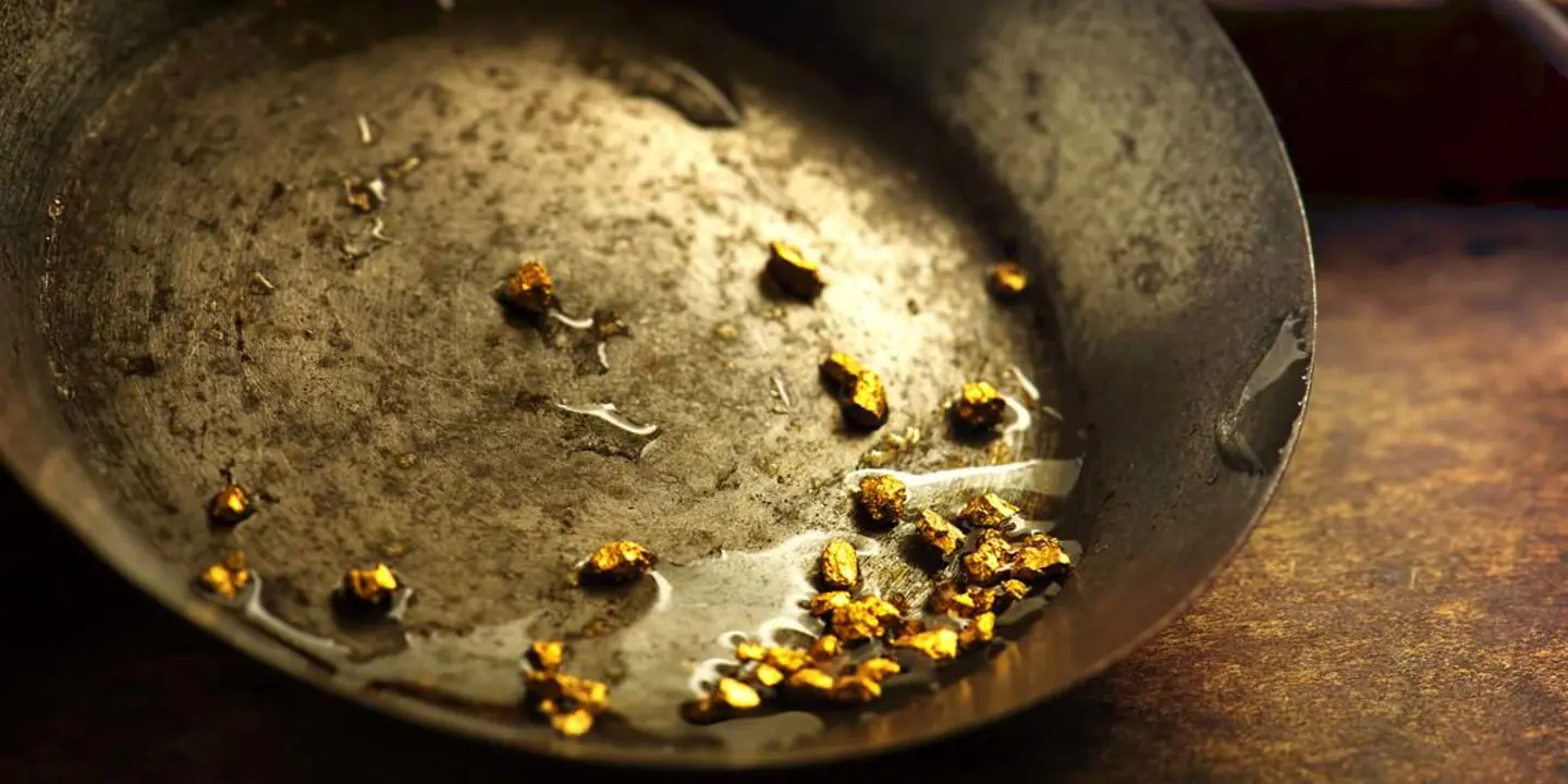 Gold Panning 220523407
