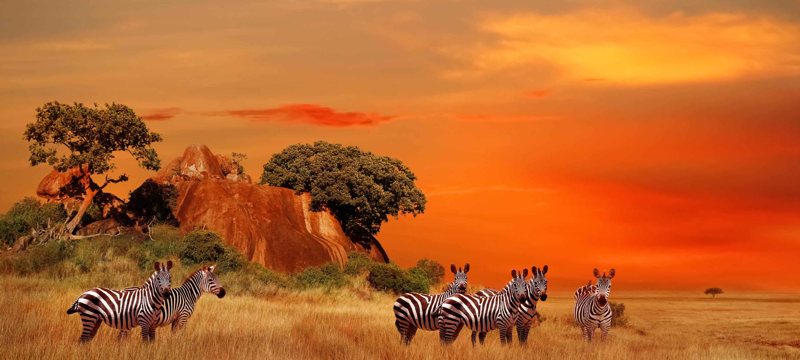 Shutterstock 2175128995