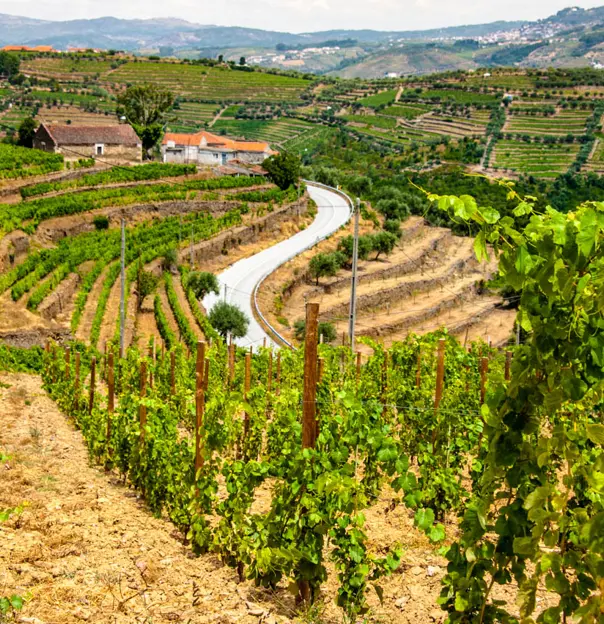 Duoro Valley, Portugal
