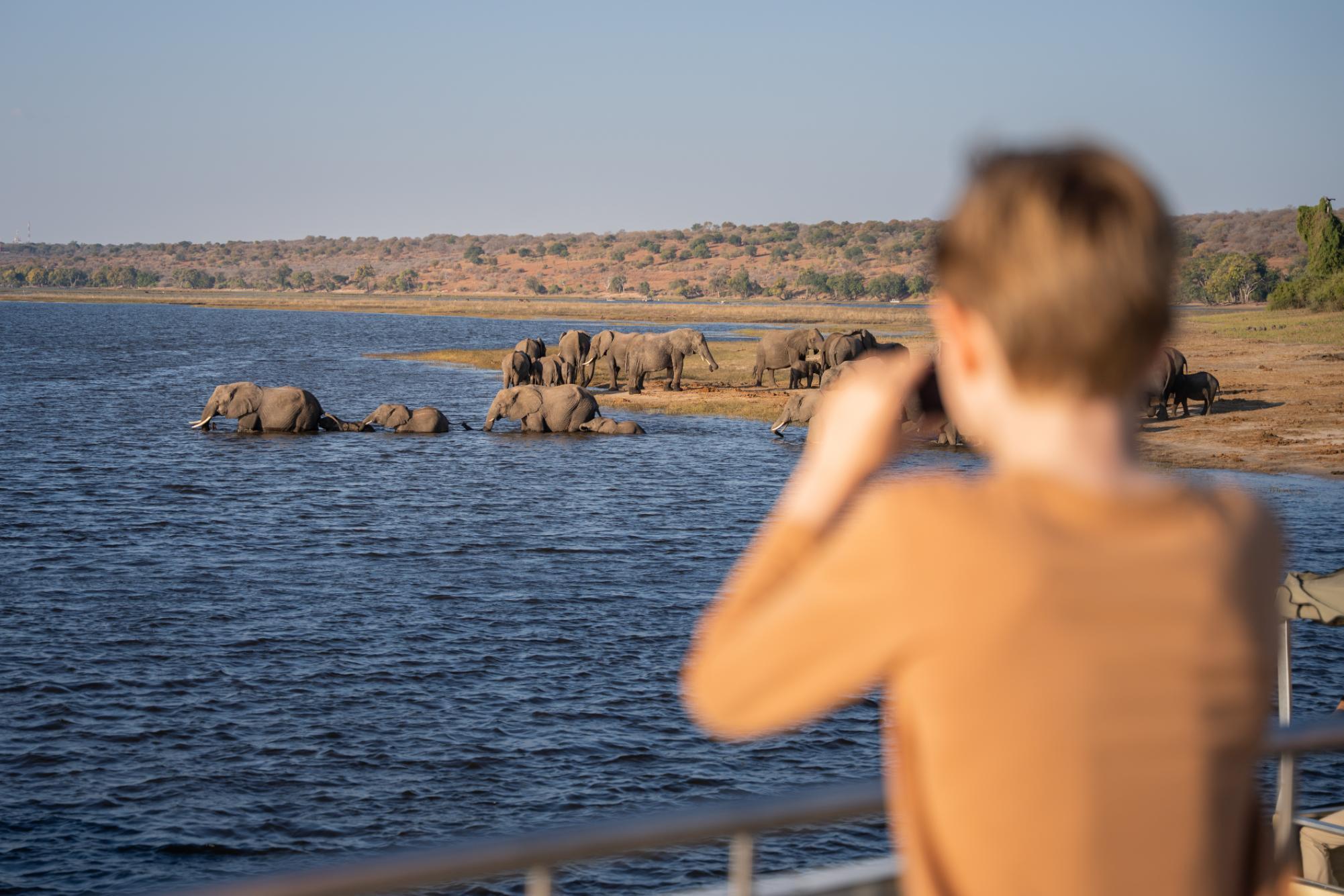 The Chobe Safari Lodge Family Safari 11