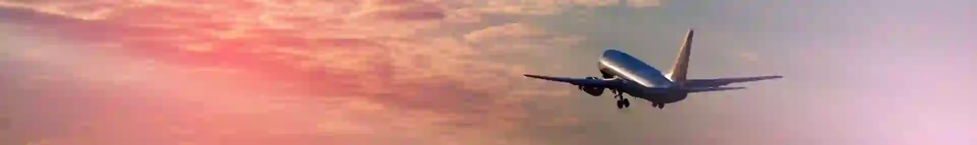 Plane in the sky