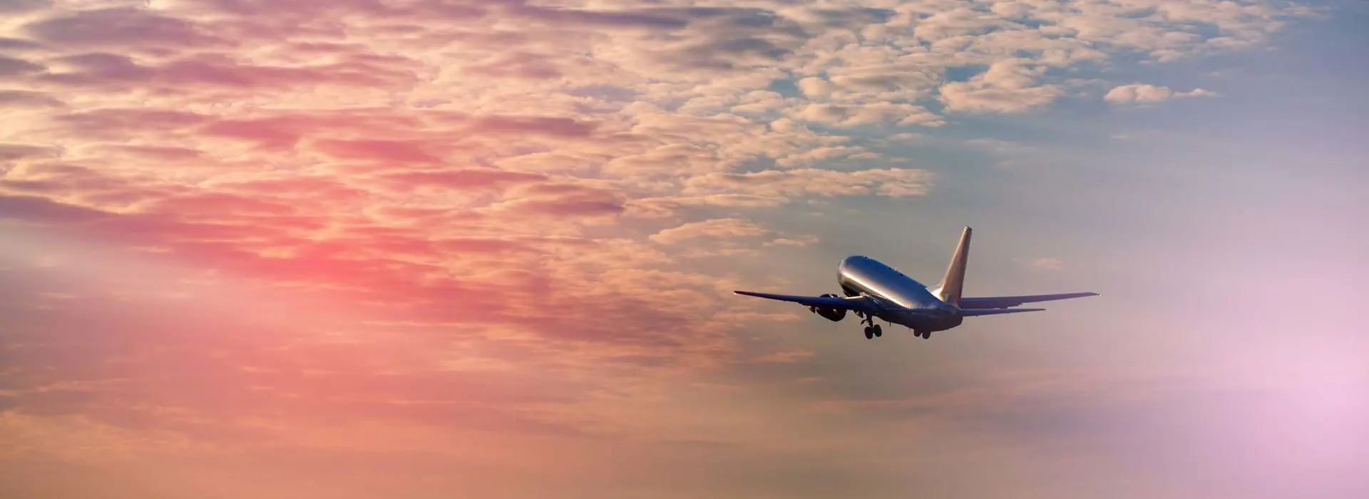 Plane in the sky