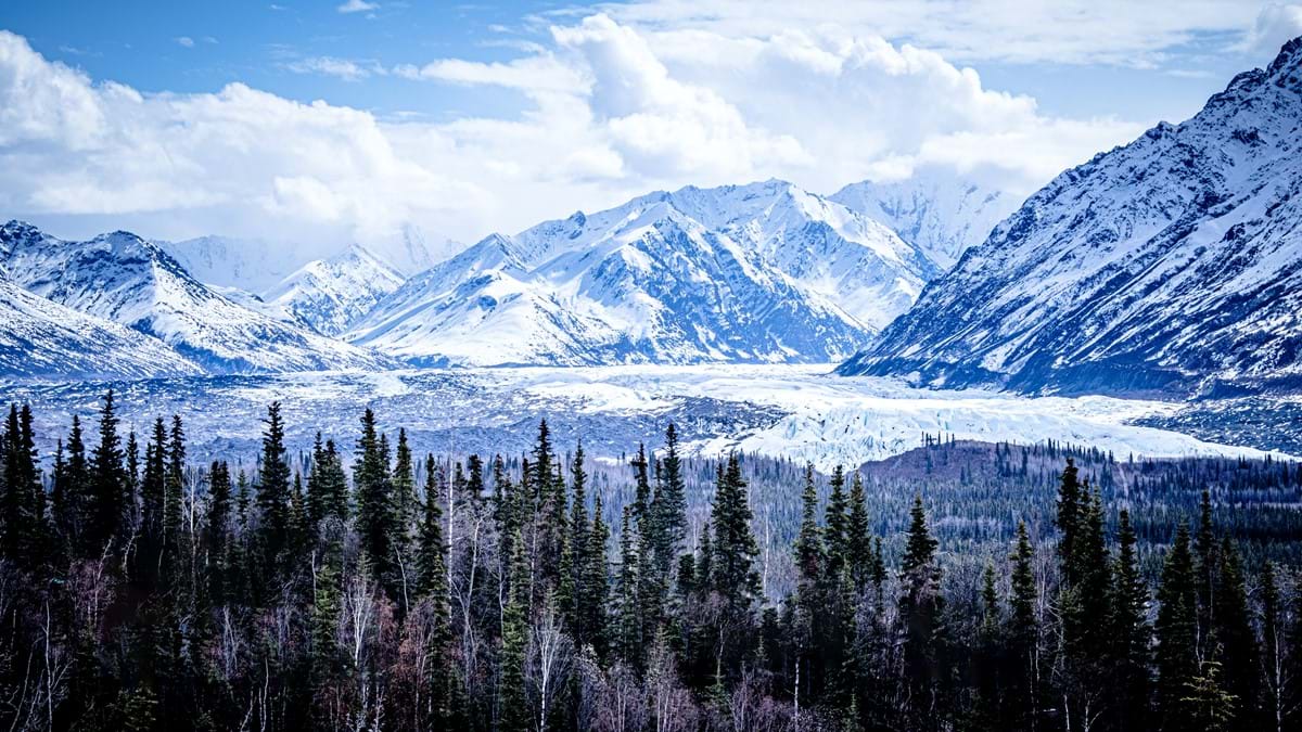 Alaska View