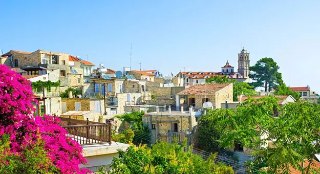 View of bricked houses with flat roofs on a hill, with bright pink flowers in the left forefront and green trees along the centre forefront to the right. In the distance to the right, two more trees in front of the tower of a church, in front of a blue sky.