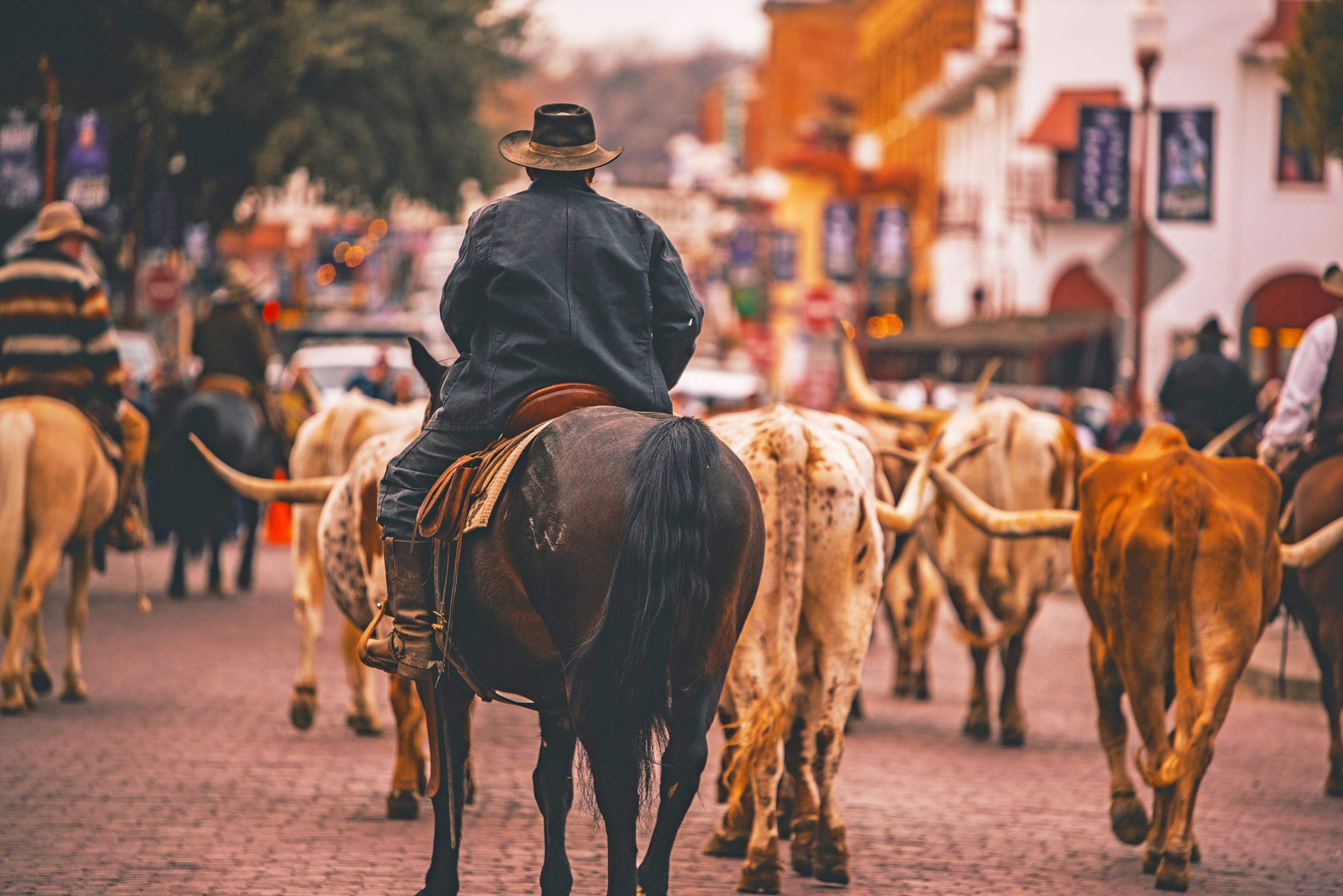 Stockyards Cattle Drive, Fort Worth, Texas