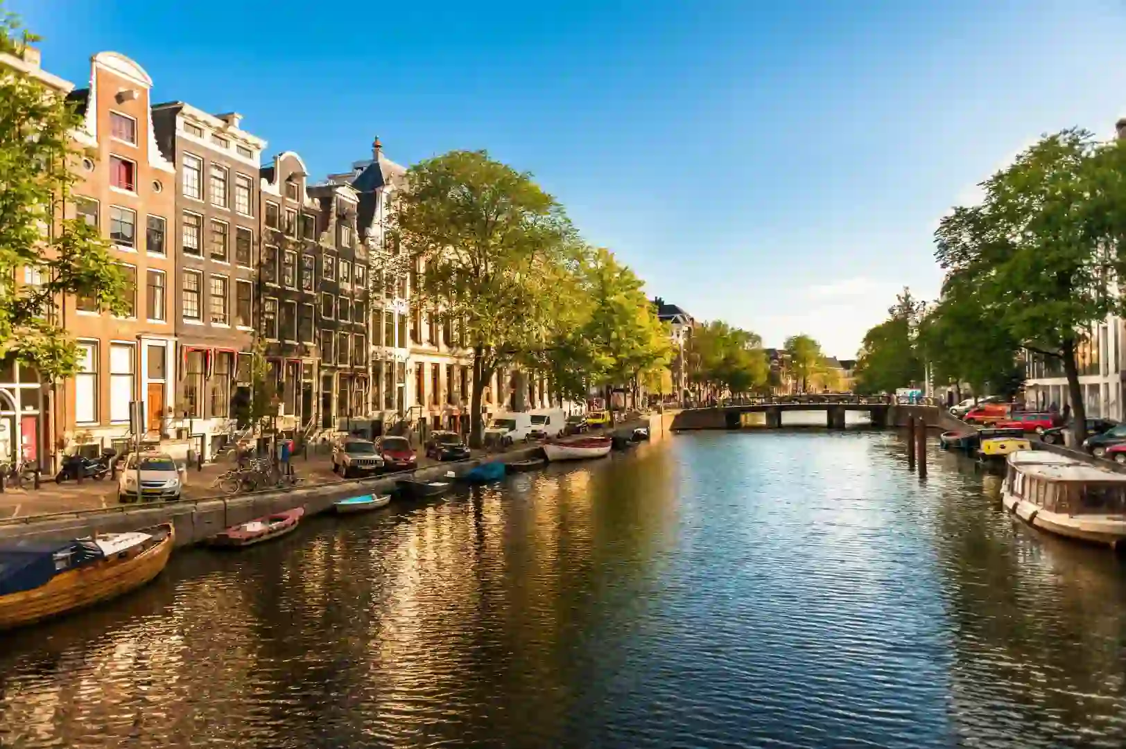 A sunny day in Amsterdam with boats moored along the edge of a canal, lined with traditional Dutch buildings and leafy trees