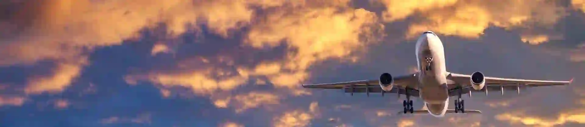 Airplane in the sky