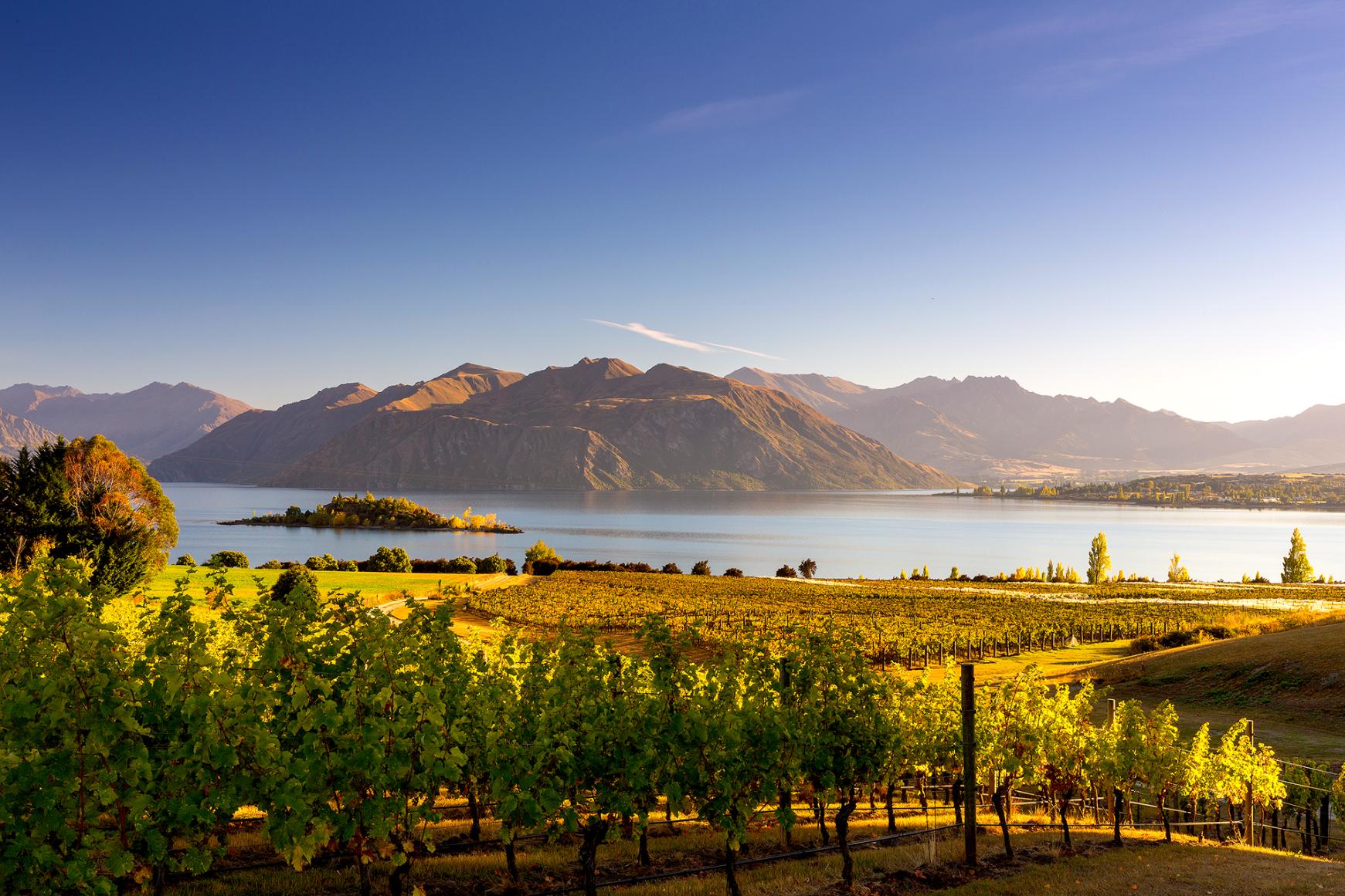 Lake Wanaka, Otago, New Zealand
