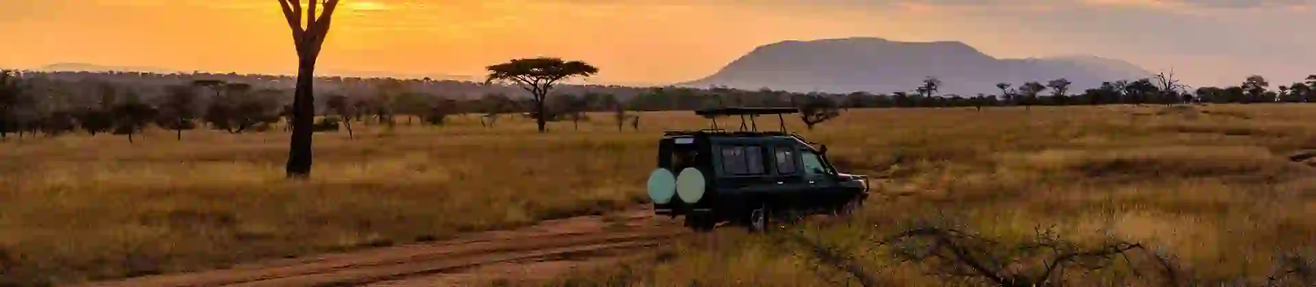 Game drive, Limpopo