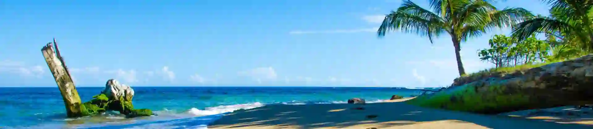 Beach in Costa Rica