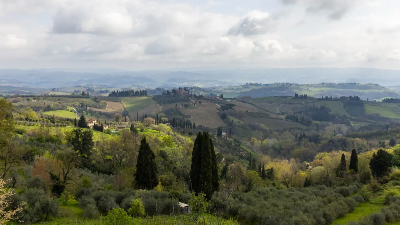 Siena and San Gimignano region, Tuscany, Italy