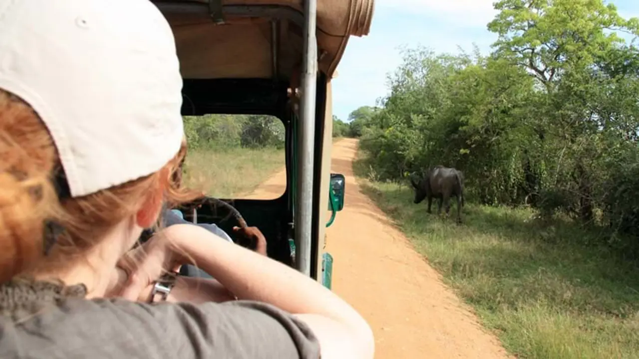 Yala National Park