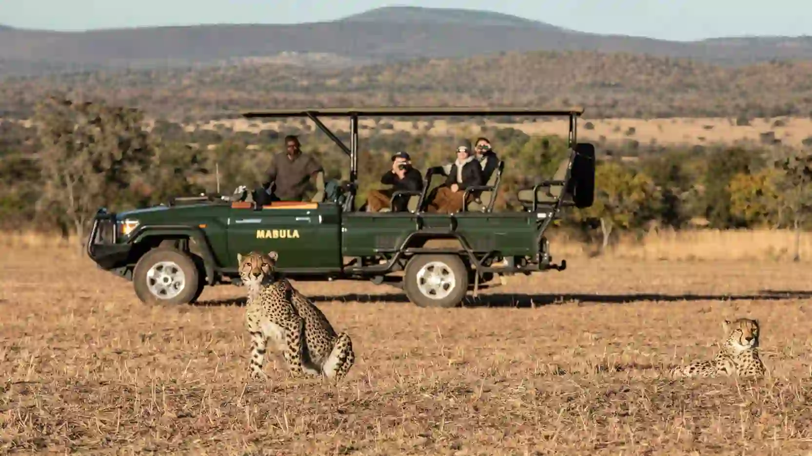 Mabula Game Lodge spotting cheetah on a game drive