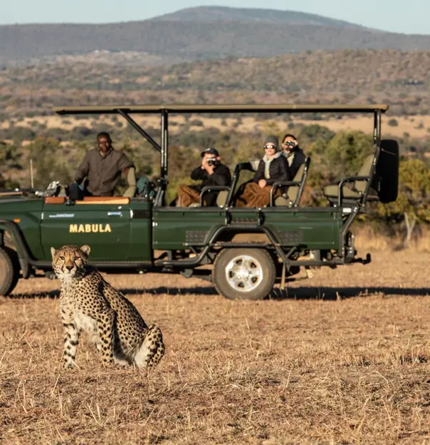 Mabula Game Lodge spotting cheetah on a game drive