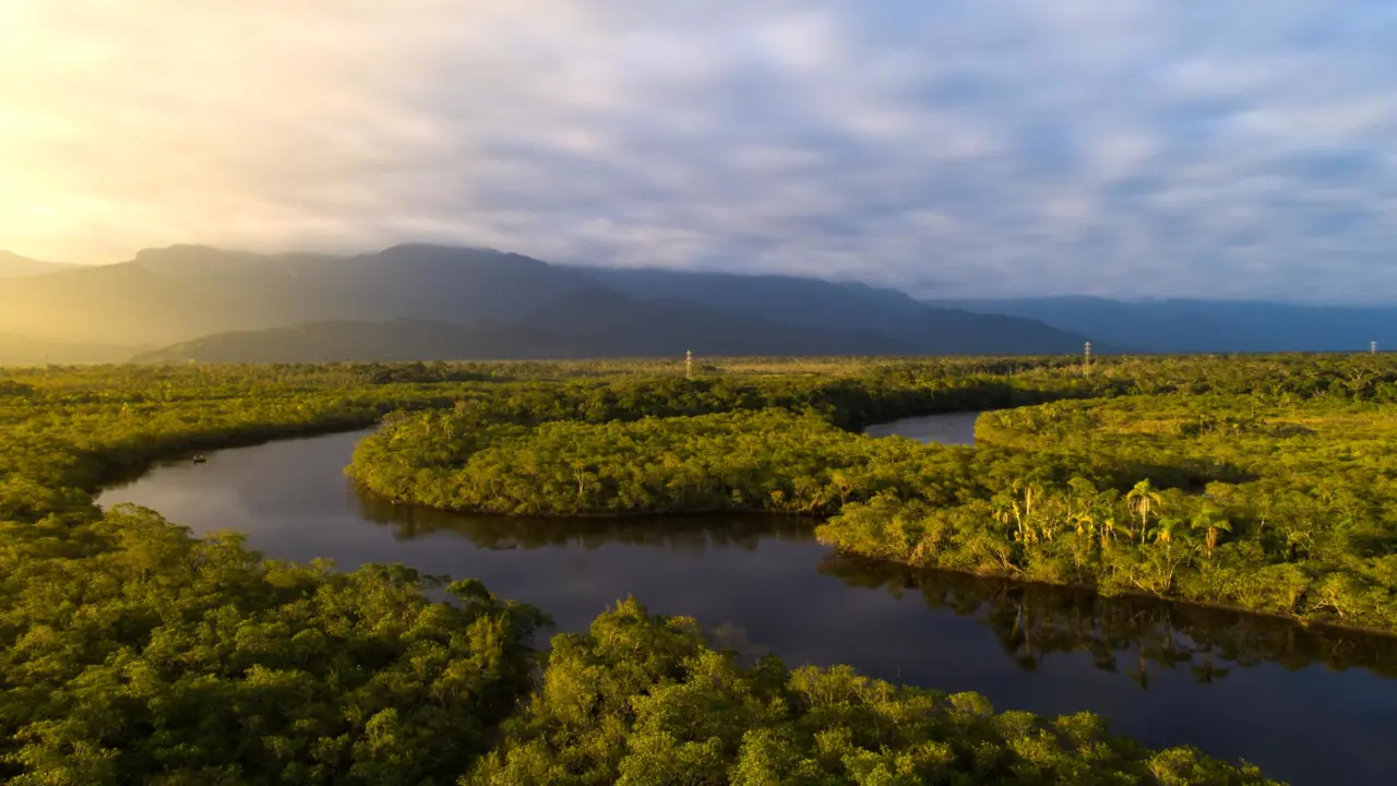 Amazon Rainforest