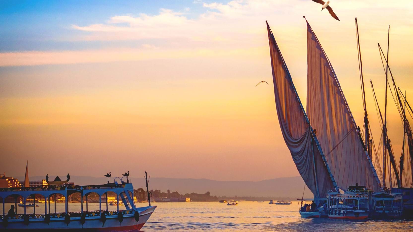 Feluccas at sunset