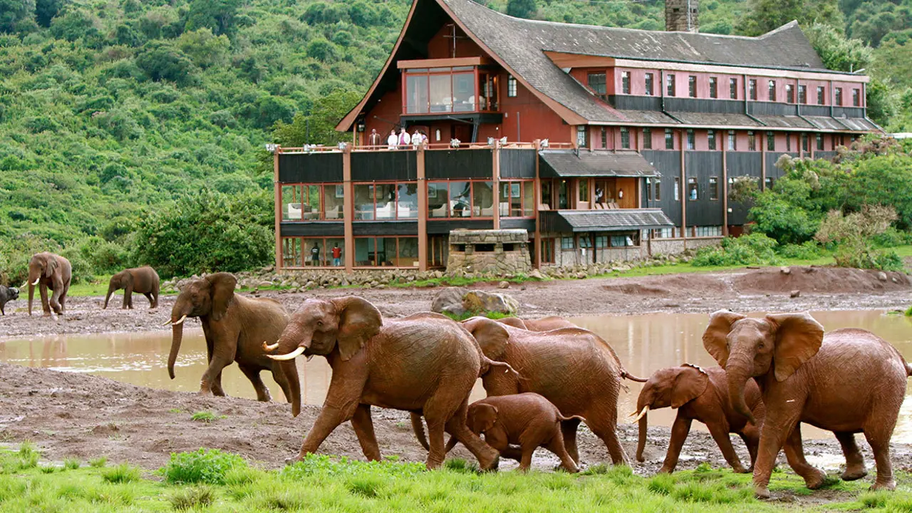 The Ark Lodge, Aberdare National Park