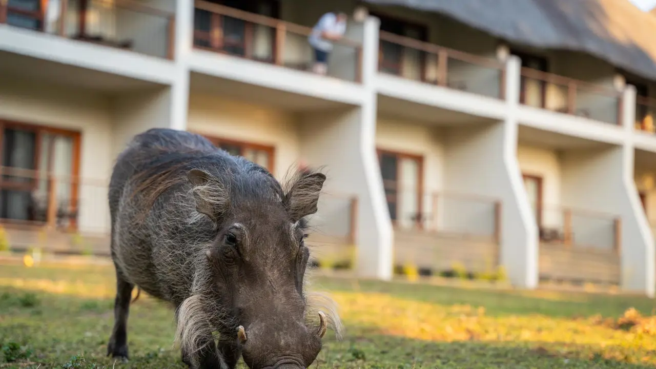 Chobe Safari Lodge 