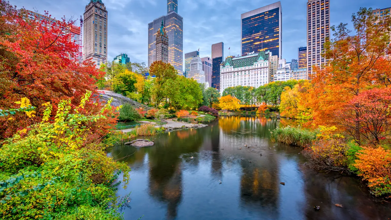 Central Park, New York