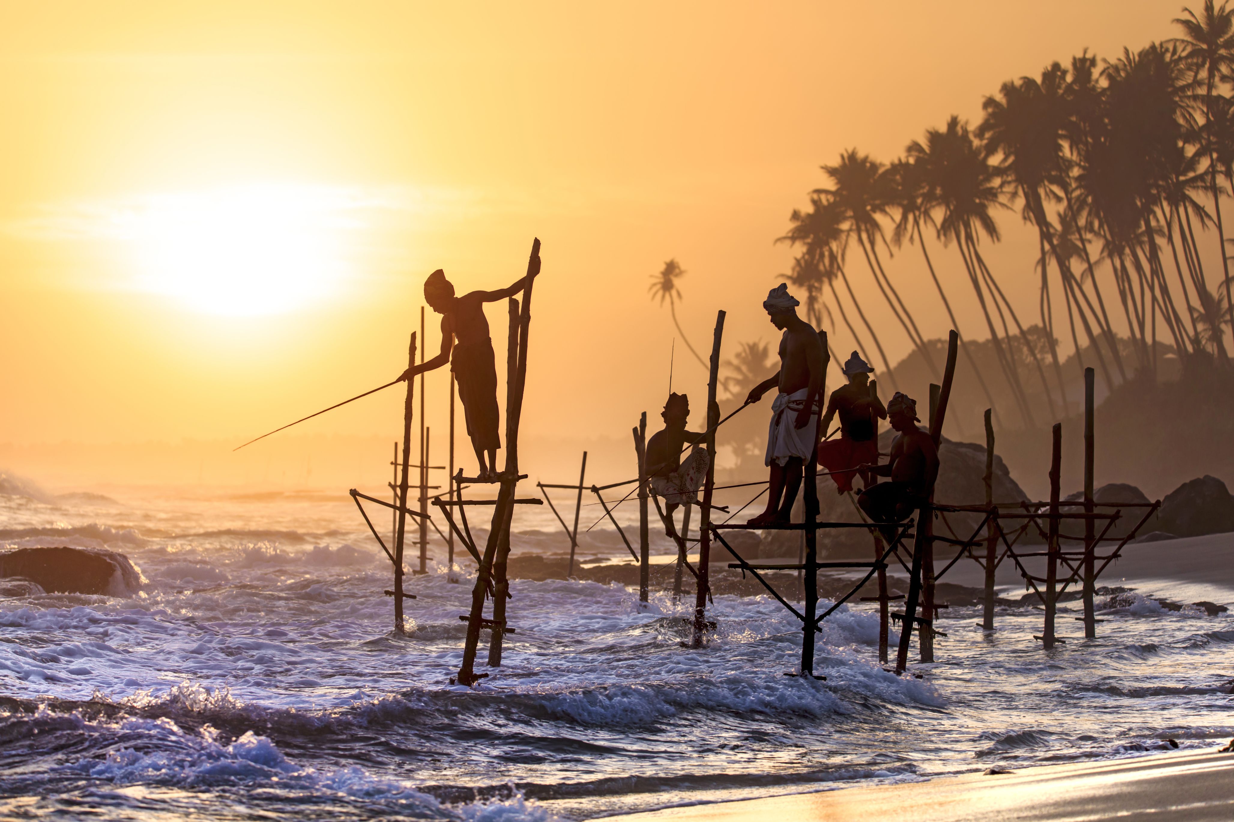 Sri Lanka Stlit Fisherman