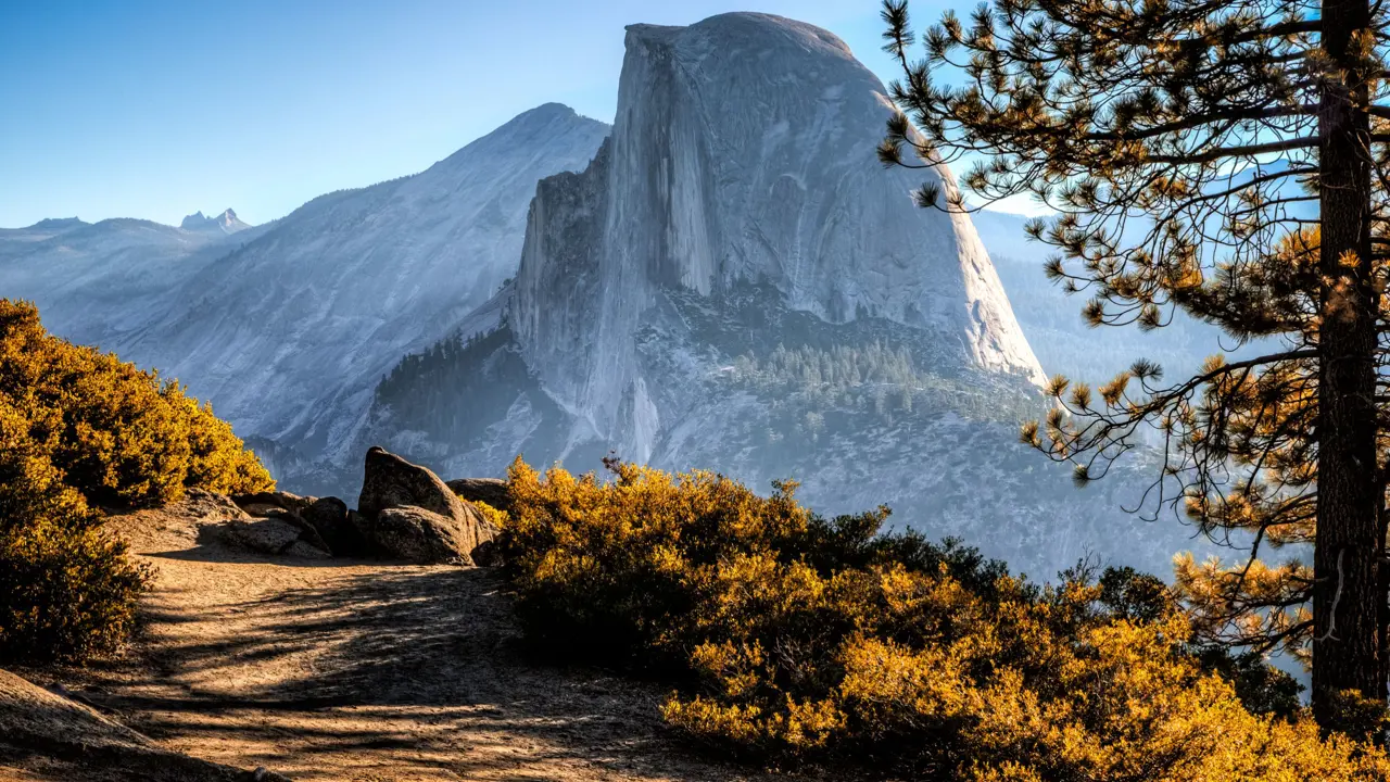 Half Dome, Yosemite National Park, California, with warm yellow shrubs in the foreground, a mountain in the distance, and clear blue skies overhead