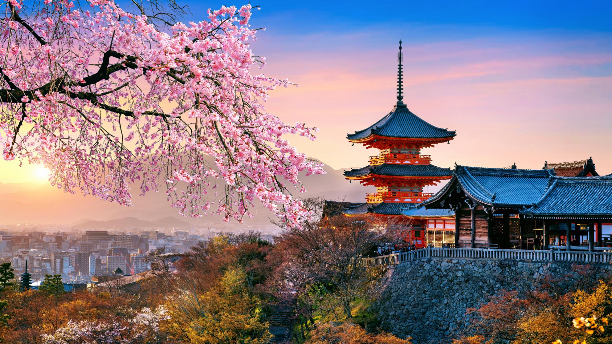 Sh 2584579263 Cherry Blossoms and Red Pagoda at Sunset, Japan