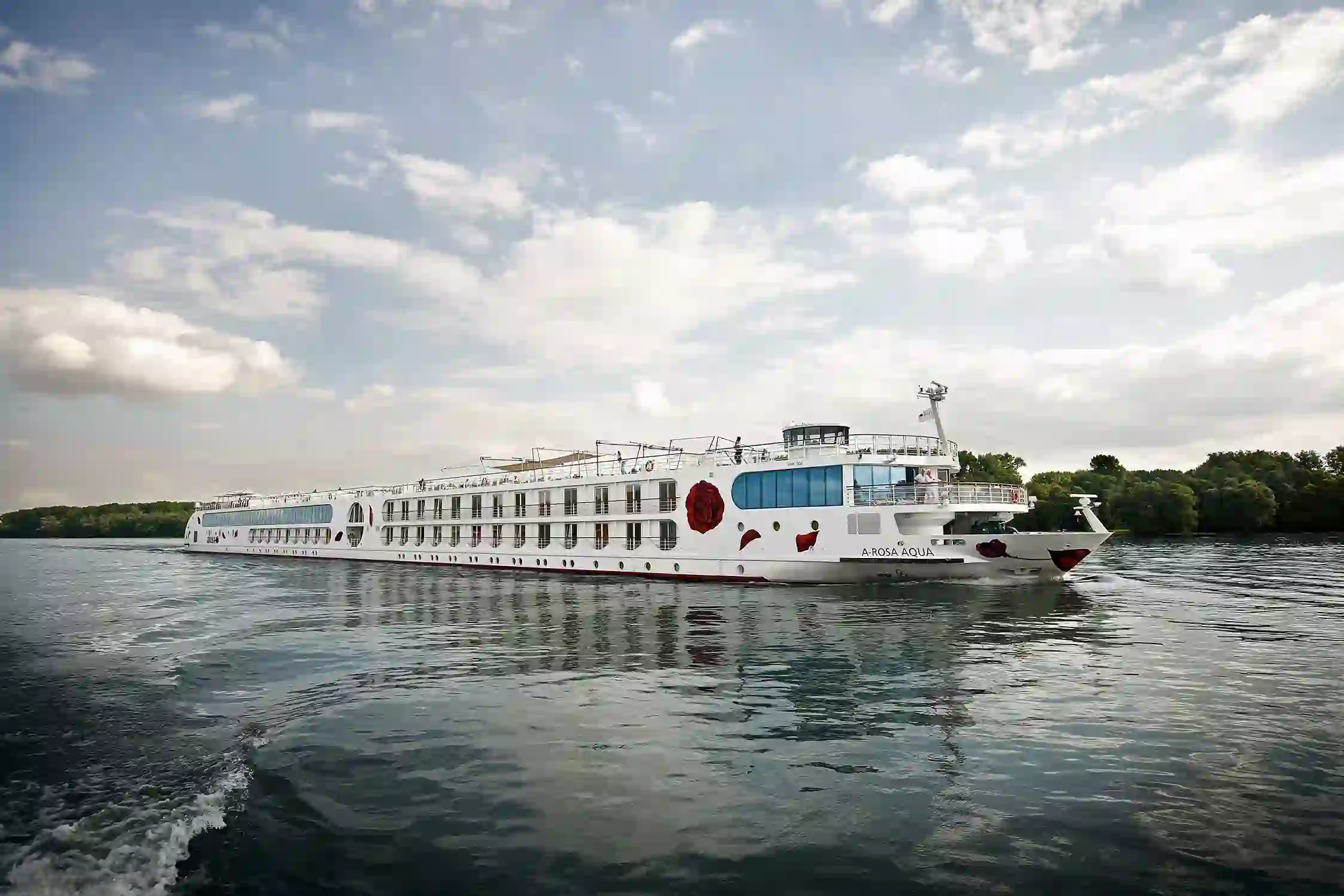 RN DLX SCHIFF 19 Web