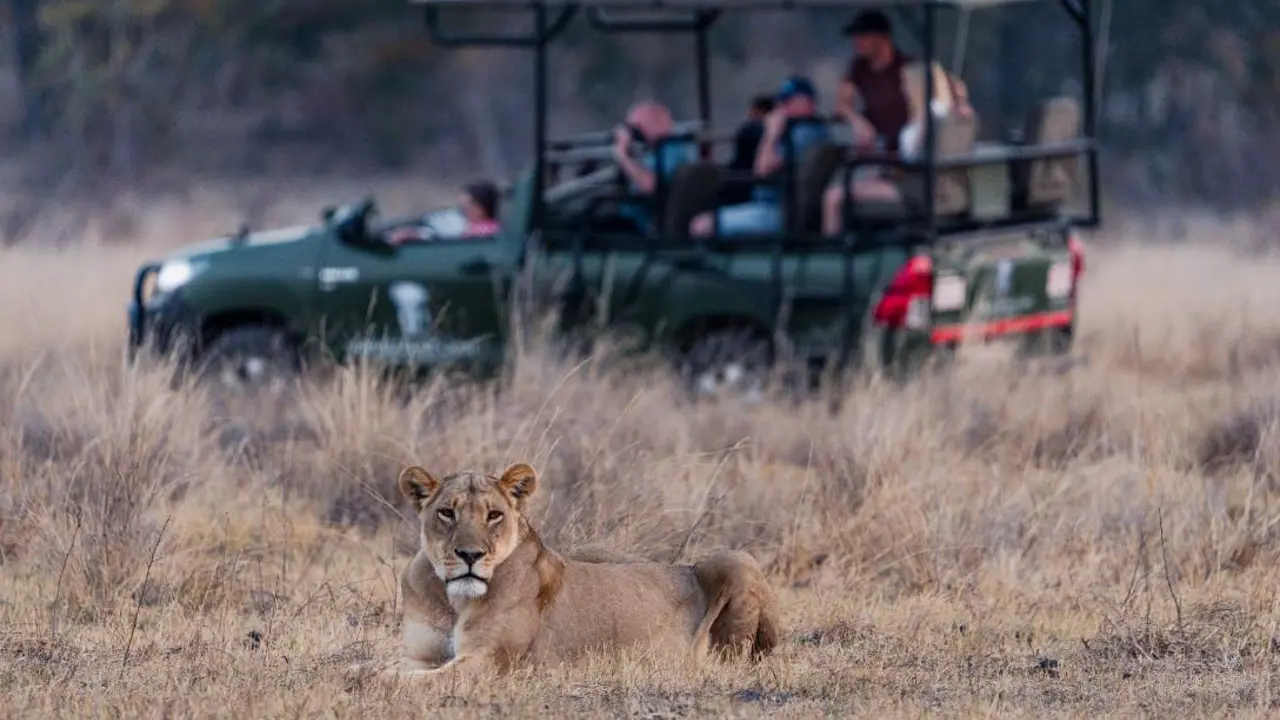 Game Drive, Hwange National Park