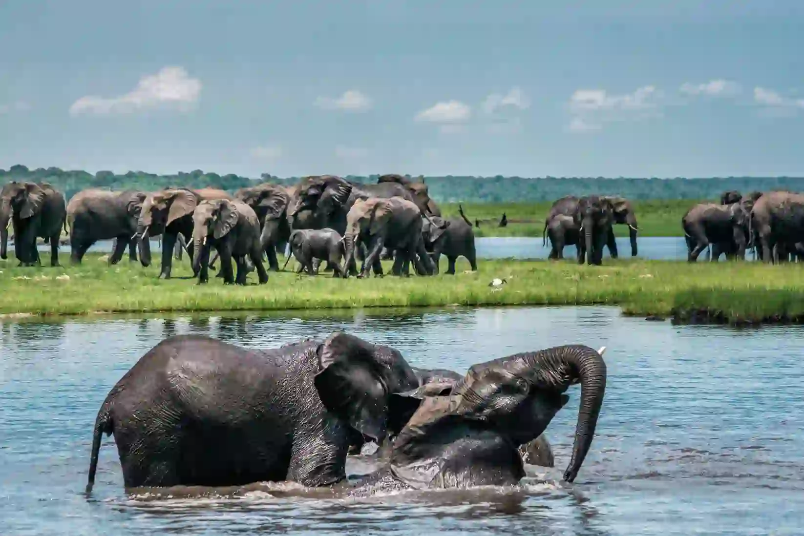 The Chobe Safari Lodge Boat Safari 23